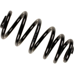 spyruoklė  spyruoklė