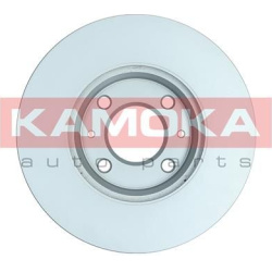  stabdžių diskas (1vnt)