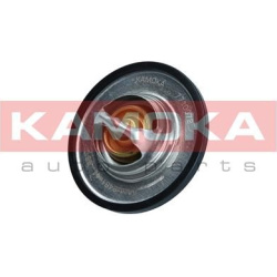 termostatas, aušinimo skystis  termostatas, aušinimo skystis