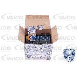  Kompl., autom. pavarų dėžės alyv. keit.