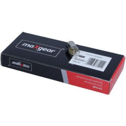  galinio žibinto lemputė