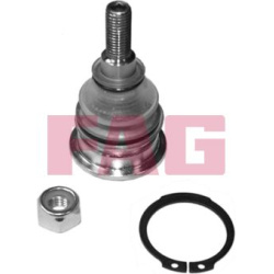  Šarnyras / girgždukas