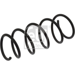 spyruoklė  spyruoklė