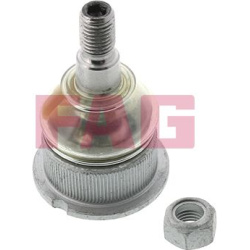  Šarnyras / girgždukas