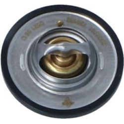  termostatas, aušinimo skystis <small>EASY FIT</small>