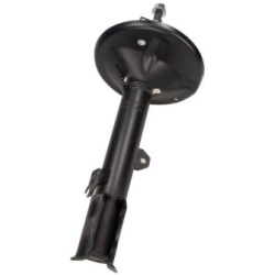 amortizatorius  amortizatorius