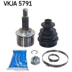 pusašio šarnyras  pusašio šarnyras