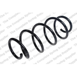 spyruoklė  spyruoklė