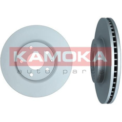  stabdžių diskas (1vnt)