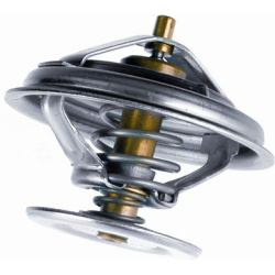  termostatas, aušinimo skystis