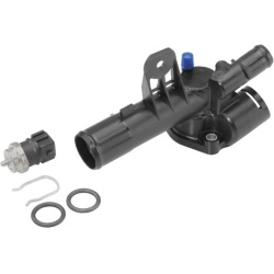  termostatas, aušinimo skystis