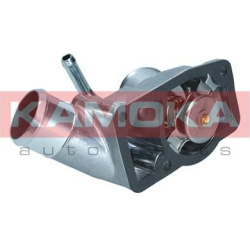  termostatas, aušinimo skystis