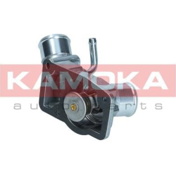  termostatas, aušinimo skystis