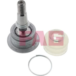  Šarnyras / girgždukas