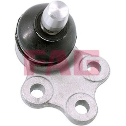  Šarnyras / girgždukas