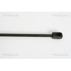  dujinė spyruoklė, bagažinė