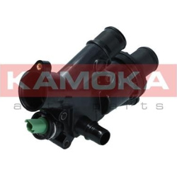  termostatas, aušinimo skystis