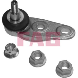  Šarnyras / girgždukas