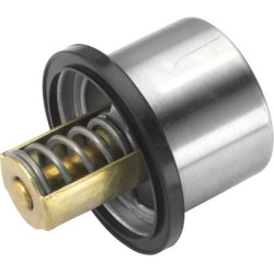  termostatas, aušinimo skystis