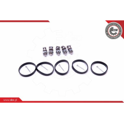 remonto komplektas, įsiurbimo kolektoriaus modulis  remonto komplektas, įsiurbimo kolektoriaus modulis