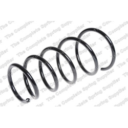 spyruoklė  spyruoklė