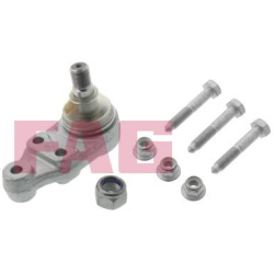  Šarnyras / girgždukas