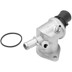  termostatas, aušinimo skystis