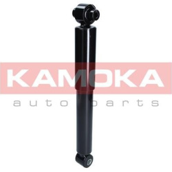 amortizatorius  amortizatorius