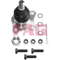  Šarnyras / girgždukas