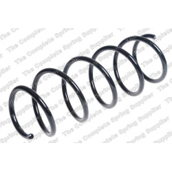 spyruoklė  spyruoklė