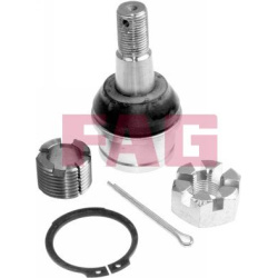  Šarnyras / girgždukas