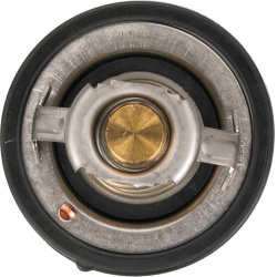  termostatas, aušinimo skystis