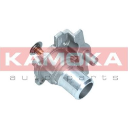  termostatas, aušinimo skystis