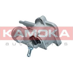  termostatas, aušinimo skystis