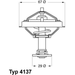  termostatas, aušinimo skystis