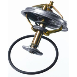  termostatas, aušinimo skystis