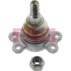  Šarnyras / girgždukas