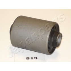  įvorė, lakštinė lingė