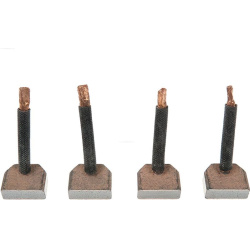  anglies šepetėlis, starteris <small>AS</small>