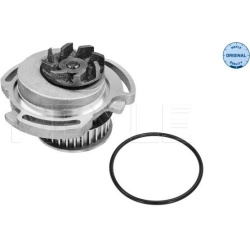  Vandens siurblys, variklio aušinimas <small>MEYLE-ORIGINAL: True to OE.</small>