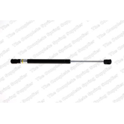  dujinė spyruoklė, bagažinė