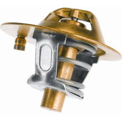  termostatas, aušinimo skystis