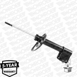 amortizatorius  amortizatorius