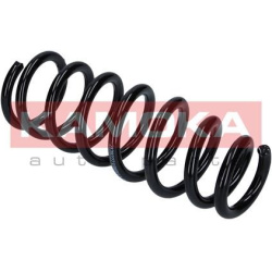 spyruoklė  spyruoklė