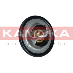  termostatas, aušinimo skystis