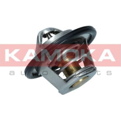  termostatas, aušinimo skystis