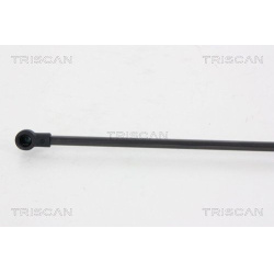  dujinė spyruoklė, bagažinė