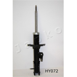 amortizatorius  amortizatorius