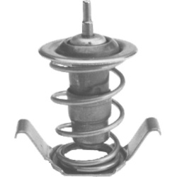  termostatas, aušinimo skystis