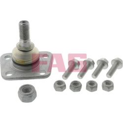  Šarnyras / girgždukas